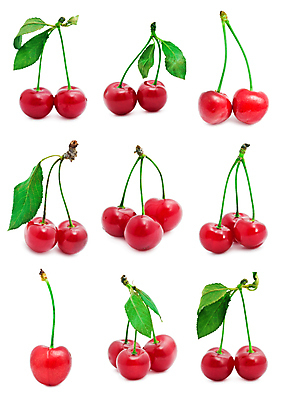 포토 JPG 해외이미지 열매 줄기 잎 과일 건강 사람없음 초록색 체리 달콤 맛 오브젝트 유기농 맛있는 해외202004 해외202105 해외포토 식물 웰빙 컬러 컨셉 파일형식