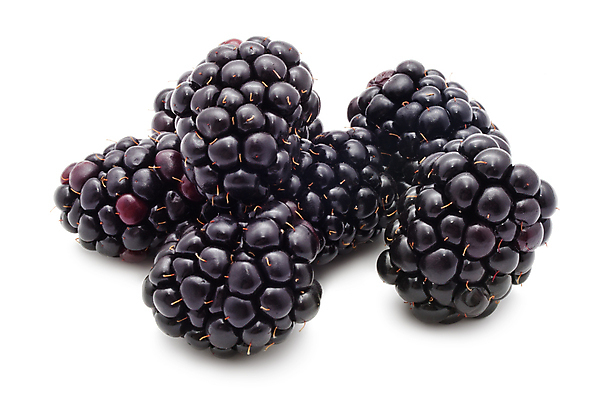 포토 JPG 해외이미지 열매 과일 자연 건강 사람없음 검은색 달콤 맛 오브젝트 유기농 블랙베리 맛있는 해외202004 해외202105 해외포토 식물 웰빙 컬러 컨셉 생태계 파일형식