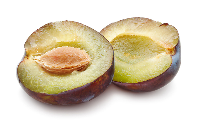 포토 JPG 해외이미지 열매 농업 과일 건강 사람없음 보라색 달콤 맛 오브젝트 유기농 자두 해외202004 해외202105 해외포토 식물 웰빙 산업 컬러 컨셉 파일형식