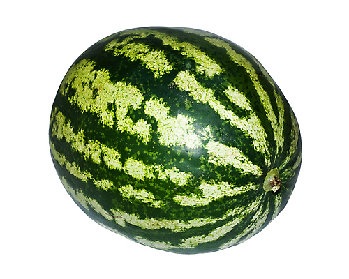 포토 JPG 해외이미지 계절 채소 과일 수박 건강 사람없음 초록색 줄무늬 달콤 멜론 오브젝트 해외202004 해외202105 해외포토 컬러 무늬 맛 파일형식