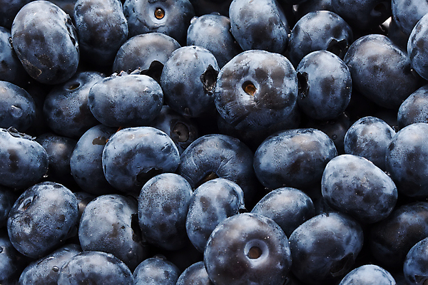 포토 JPG 해외이미지 사람없음 가득함 블루베리 많음 해외202004 해외202105 해외포토 컨셉 과일 파일형식