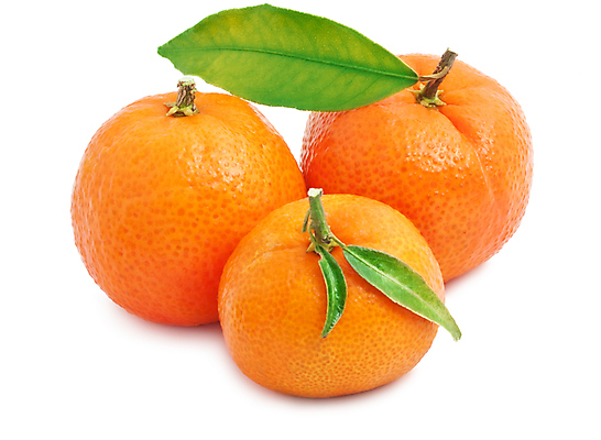 포토 JPG 해외이미지 잎 오렌지 과일 자연 귤 건강 사람없음 초록색 노란색 달콤 유기농 해외202004 해외202105 해외포토 식물 웰빙 컬러 맛 생태계 파일형식