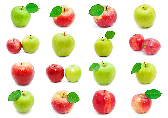 포토 JPG 해외이미지 잎 실내 사람없음 여러개 사과 흰배경 청사과 해외202004 해외202105 해외포토 식물 다수 백그라운드 과일 내부 흰색 파일형식