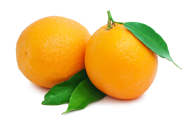 포토 JPG 해외이미지 오렌지 과일 자연 귤 건강 사람없음 노란색 원형 달콤 맛 유기농 비타민 해외202004 해외202105 해외포토 도형 웰빙 컬러 컨셉 생태계 영양소 파일형식