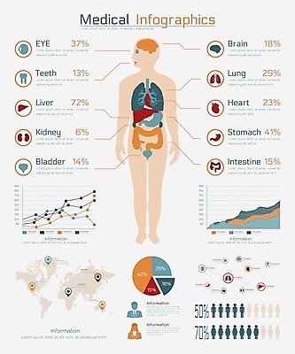 EPS 해외이미지 일러스트 의학 통계 건강 사람없음 건강관리 인포그래픽 정보 해외202004 해외202105 해외일러스트 관리 파일형식 벡터