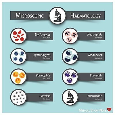 EPS 해외이미지 일러스트 의학 통계 건강 사람없음 건강관리 인포그래픽 정보 해외202004 해외202105 해외일러스트 관리 파일형식 벡터