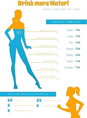 EPS 해외이미지 디자인 실루엣 신체 근육 그래프 사람없음 물 운동 인포그래픽 수분 그림 해외202004 해외202105 자연요소 촬영기법 건강 파일형식 벡터