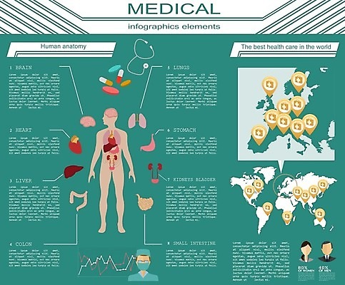 EPS 해외이미지 여자 남자 세계지도 신체 일러스트 의학 건강 상반신 성인 치료 세명 알약 건강관리 인포그래픽 의사 정보 심장 신장 뇌 대장 소장 성인만 해외202004 해외202105 해외일러스트 지도 관리 사람 세계 약 의료진 장기_의학 비뇨기관 파일형식 벡터