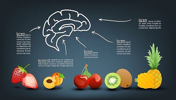 EPS 해외이미지 일러스트 딸기 귤 선인장 키위 사람없음 인포그래픽 사과 멜론 레몬 파인애플 유기농 블루베리 망고 자두 살구 파파야 해외202004 해외202105 해외일러스트 식물 웰빙 과일 열대과일 파일형식 벡터