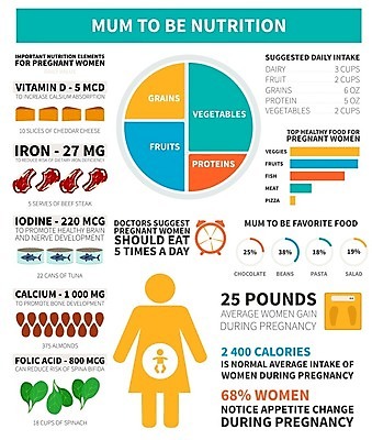 EPS 해외이미지 채소 일러스트 그래프 치즈 육류 어류 사람없음 임산부 임신 인포그래픽 육아 견과류 정보 출산 준비 비율 영양소 칼슘 영양_영양소 철분제 해외202004 비타민d 해외202105 해외일러스트 식재료 유제품 약 수중동물 파일형식 벡터