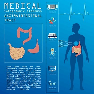 EPS 해외이미지 신체 일러스트 의학 건강 사람없음 치료 파란색 알약 건강관리 인포그래픽 의사 정보 소화기관 장기 구급차 대장 소장 위장 바이탈사인 심장박동기계 심전도모니터 해외202004 해외202105 해외일러스트 컬러 자동차 관리 약 의료진 의료용품 장기_의학 파일형식 벡터
