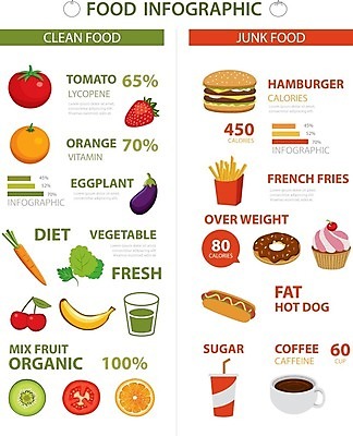 EPS 해외이미지 템플릿 음료 일러스트 그래프 사람없음 인포그래픽 정보 햄버거 칼로리 해외202004 해외202105 해외일러스트 패스트푸드 파일형식 벡터