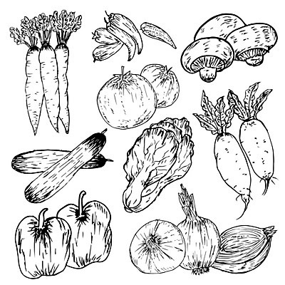 EPS 해외이미지 음식 백그라운드 토마토 채소 일러스트 고추 양파 피망 오이 사람없음 버섯 당근 흰색 무 스케치 배추 복고 해외202105 해외일러스트 컬러 뿌리채소 미술 파일형식 벡터
