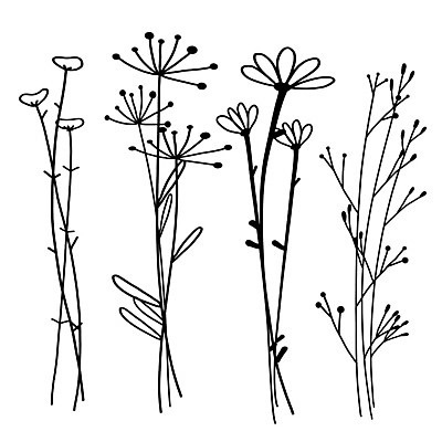 EPS 해외이미지 꽃 패턴 일러스트 사람없음 라인아트 해외202105 해외일러스트 식물 선 무늬 파일형식 벡터