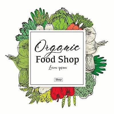 EPS 해외이미지 배너 백그라운드 채소 일러스트 사각프레임 사람없음 초록색 유기농 식료품점 해외202105 해외일러스트 웰빙 컬러 프레임 상점 사각형 파일형식 벡터