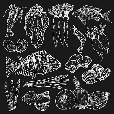 EPS 해외이미지 백그라운드 채소 일러스트 조개 새우 파슬리 사람없음 검은색 스케치 해외202105 해외일러스트 컬러 어패류 갑각류 미술 파일형식 벡터