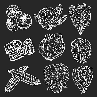 EPS 해외이미지 음식 백그라운드 토마토 채소 일러스트 재료 고추 사람없음 검은색 브로콜리 양배추 해외202105 해외일러스트 컬러 파일형식 벡터