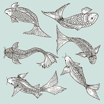 EPS 해외이미지 선 백그라운드 일러스트 어류 사람없음 스케치 해외202105 해외일러스트 미술 수중동물 파일형식 벡터