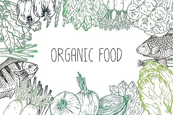 EPS 해외이미지 채소 일러스트 양파 피망 프레임 어류 타이포그라피 사람없음 당근 무 유기농 해외202105 해외일러스트 문자 웰빙 뿌리채소 수중동물 파일형식 벡터