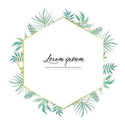 EPS 해외이미지 잎 일러스트 프레임 사람없음 육각형 해외202105 해외일러스트 도형 식물 파일형식 벡터