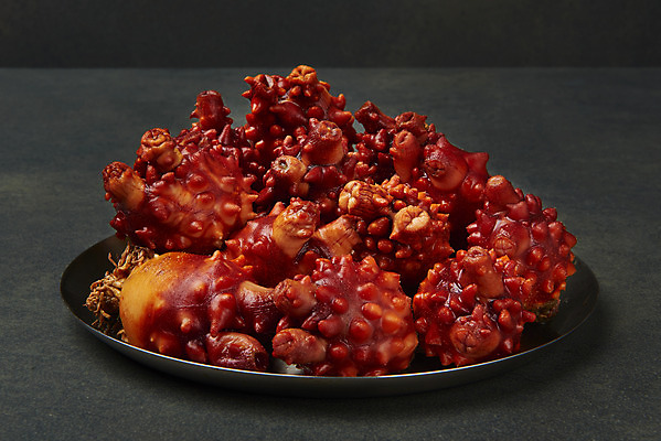 포토 JPG 스튜디오촬영 접시 음식 검은배경 실내 사람없음 해산물 담기 멍게 국내포토 식기 백그라운드 모션 내부 검은색 바다동물 파일형식