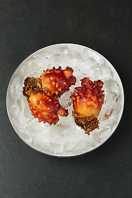 포토 JPG 스튜디오촬영 그릇 음식 검은배경 실내 사람없음 하이앵글 얼음 해산물 담기 멍게 국내포토 자연요소 식기 뷰포인트 백그라운드 모션 내부 검은색 바다동물 파일형식