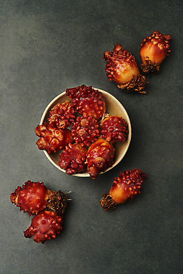 포토 JPG 스튜디오촬영 그릇 음식 검은배경 실내 사람없음 하이앵글 해산물 담기 멍게 국내포토 식기 뷰포인트 백그라운드 모션 내부 검은색 바다동물 파일형식