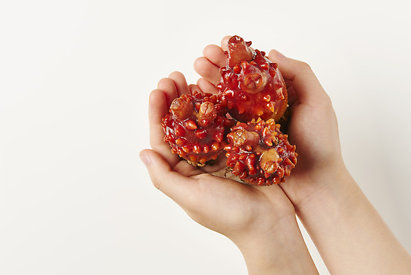 포토 JPG 스튜디오촬영 손 음식 실내 들기 신체부위 해산물 흰배경 멍게 국내포토 백그라운드 모션 사람 내부 바다동물 흰색 파일형식