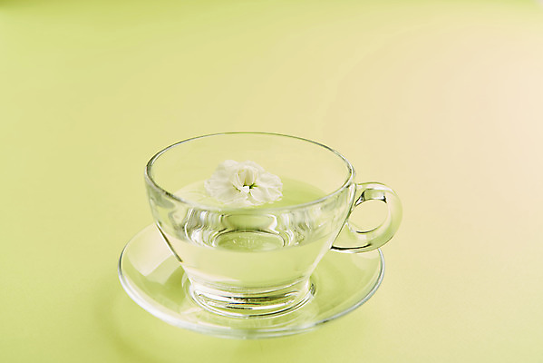 포토 JPG 스튜디오촬영 꽃 실내 사람없음 찻잔 컵받침 오브젝트 감성 초록배경 국내포토 식물 백그라운드 컨셉 잔 내부 초록색 받침대 파일형식