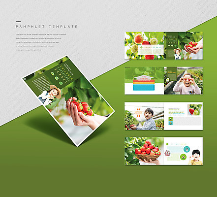 템플릿 손 여자 어린이교육 남자 ZIP 어린이 리플렛 딸기 들기 소녀 소년 팜플렛 여러명 상반신 신체부위 초록색 소쿠리 한국인 수확 농장체험 어린이만 딸기농장 인디자인 INDD 이미지템플릿 교육 컬러 다수 농업 과일 모션 사람 동양인 농장 바구니 체험학습 파일형식