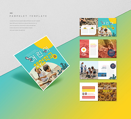 전신 템플릿 손 여자 어린이교육 남자 ZIP 어린이 리플렛 소녀 소년 팜플렛 여러명 상반신 성인 신체부위 30대 한국인 잡기 체험학습 소라 갯벌 웅크림 인디자인 INDD 이미지템플릿 교육 다수 모션 어패류 사람 동양인 장년 체험 파일형식