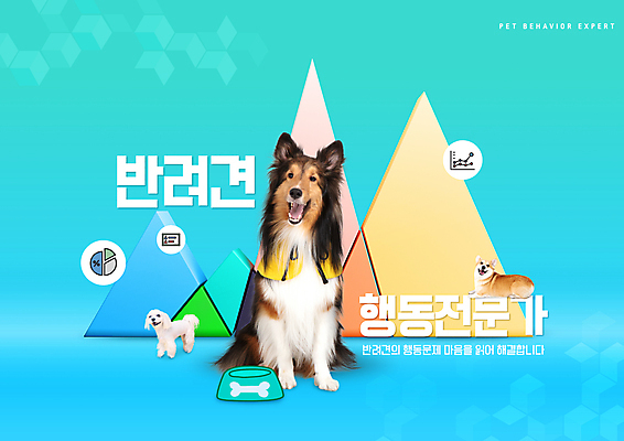 PSD 편집이미지 반려견 하늘색 세마리 타이포그라피 사람없음 말티즈 삼각형 강아지 전문직 개밥그릇 동물라이프 반려 셔틀랜드쉽독 웰시코기 애견훈련 이미지편집 도형 동물 직업 문자 라이프스타일 그릇 3 파란색 반려동물 개 연습 애견용품 파일형식