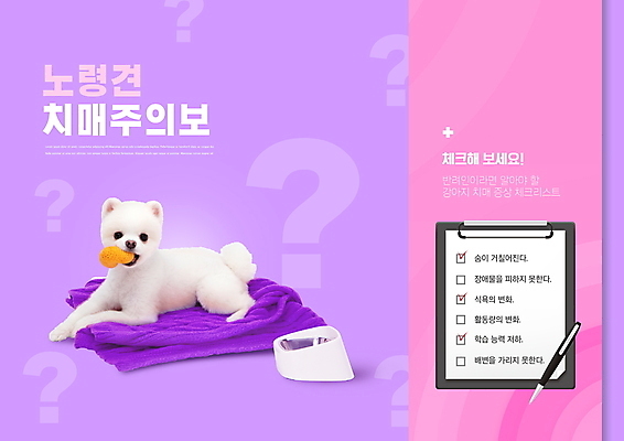 PSD 편집이미지 한마리 반려견 건강 타이포그라피 사람없음 보라색 물음표 강아지 담요 개밥그릇 동물라이프 반려 서류판 체크리스트 치매 포메라니안 이미지편집 동물 문자 1 라이프스타일 그릇 기호 컬러 반려동물 사무용품 개 질병 애견용품 파일형식