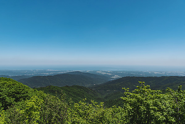포토 JPG 주간 나무 구름 하늘 산 사람없음 야외 관광지 여름풍경 숲 지평선 대관령 국내포토 자연요소 식물 여행 풍경 강원도 파일형식 여름_계절