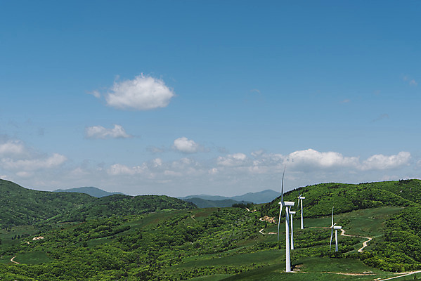 포토 JPG 주간 나무 구름 하늘 산 사람없음 야외 관광지 여름풍경 풍력에너지 숲 대관령 국내포토 자연요소 식물 여행 풍경 그린에너지 강원도 파일형식 여름_계절
