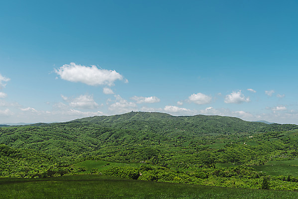 포토 JPG 주간 나무 구름 하늘 산 사람없음 야외 관광지 여름풍경 숲 대관령 국내포토 자연요소 식물 여행 풍경 강원도 파일형식 여름_계절