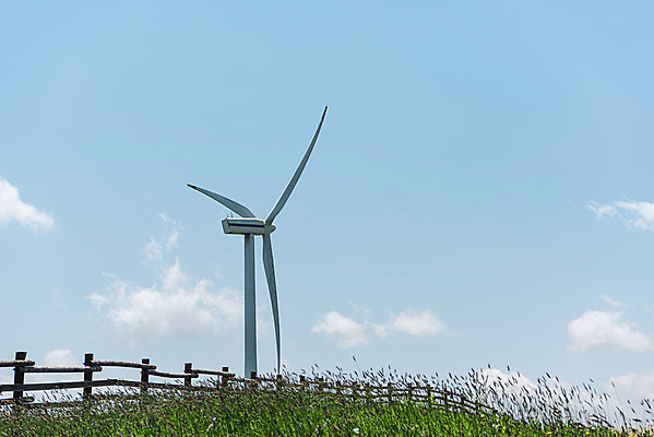 포토 JPG 주간 나무 구름 하늘 사람없음 야외 관광지 여름풍경 풍력에너지 대관령 나무울타리 국내포토 자연요소 식물 여행 풍경 울타리 그린에너지 강원도 파일형식 여름_계절