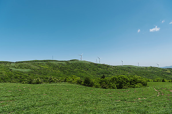 포토 JPG 주간 나무 구름 하늘 산 사람없음 야외 관광지 여름풍경 숲 대관령 국내포토 자연요소 식물 여행 풍경 강원도 파일형식 여름_계절