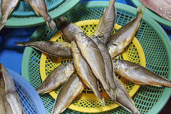 포토 JPG 여러마리 사람없음 소쿠리 재래시장 수산시장 강화도 조기_생선 국내포토 다수 어류 바구니 시장 인천 파일형식