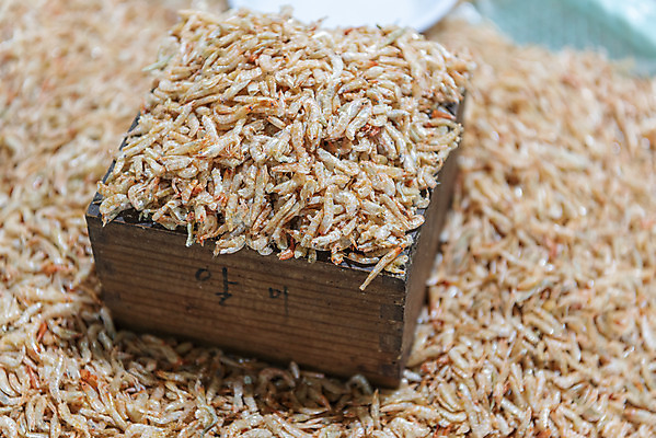 포토 JPG 사람없음 아웃포커스 재래시장 수산시장 되 강화도 건새우 국내포토 새우 건조 촬영기법 시장 인천 파일형식