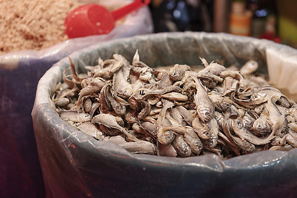 포토 JPG 식재료 반찬 어류 사람없음 아웃포커스 재래시장 강화도 젓갈 국내포토 음식 촬영기법 수중동물 시장 인천 파일형식