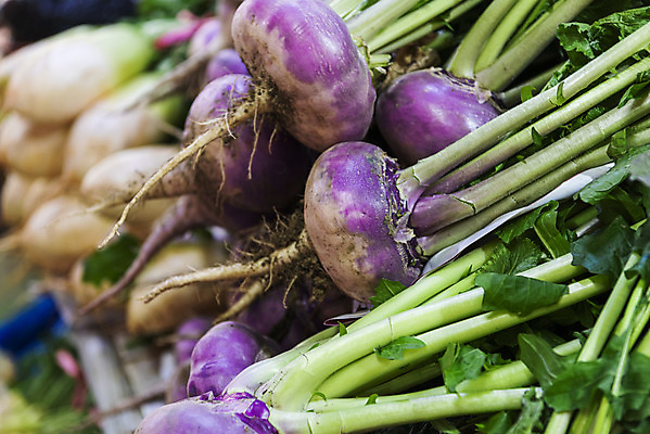 포토 JPG 채소 사람없음 아웃포커스 무 재래시장 강화도 순무 국내포토 뿌리채소 촬영기법 시장 인천 파일형식