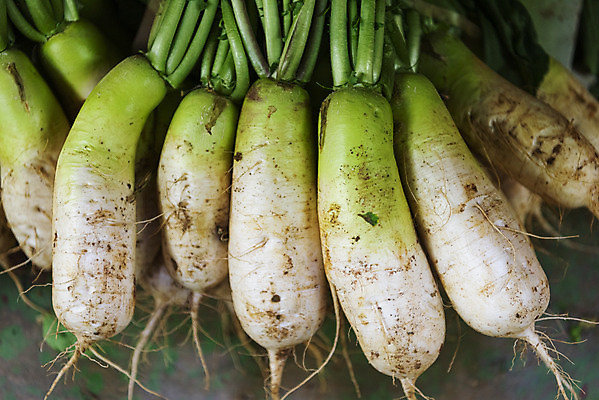 포토 JPG 채소 사람없음 아웃포커스 무 재래시장 강화도 국내포토 뿌리채소 촬영기법 시장 인천 파일형식