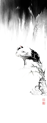 PSD 한마리 일러스트 캘리그라피 붓터치 휴식 갈대 풍경 사람없음 계곡 학 바위 동양화 번짐 낙관 화조화 국내일러스트 식물 1 컨셉 조류 미술 돌_바위 파일형식 효과