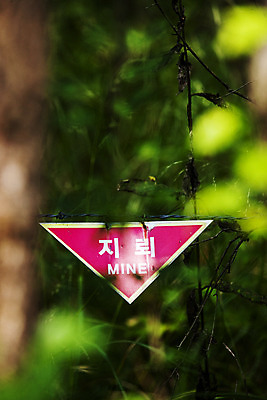 포토 JPG 주간 경고 풍경 사람없음 야외 소프트포커스 숲 강원도 지뢰 양구 비무장지대 국내포토 자연요소 한국 촬영기법 파일형식