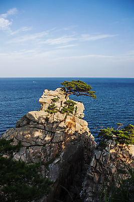 포토 JPG 주간 구름 하늘 풍경 사람없음 야외 바위 소나무 강원도 동해 양양군 국내포토 자연요소 나무 바다 한국 돌_바위 파일형식