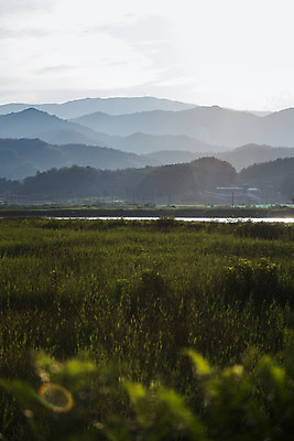 포토 JPG 주간 구름 자연 하늘 풍경 초원 사람없음 야외 강원도 양양군 산맥 국내포토 자연요소 산 한국 생태계 파일형식
