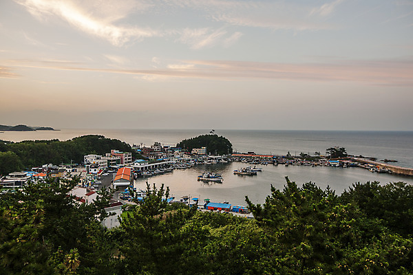 포토 JPG 나무 구름 바다 하늘 풍경 사람없음 항구 일몰 강원도 어촌 양양군 선박 국내포토 자연요소 식물 수상교통 교통시설 한국 노을 시골 파일형식