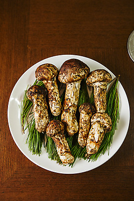 포토 JPG 사람없음 강원도 솔잎 송이버섯 나무탁자 양양군 자연산 국내포토 잎 자연 탁자 한국 버섯 파일형식