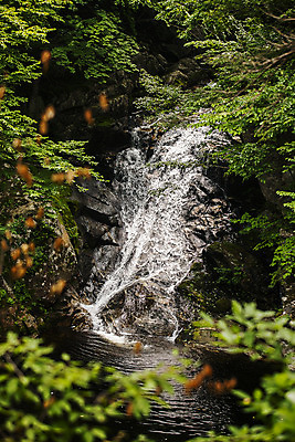 포토 JPG 주간 국립공원 풍경 사람없음 야외 계곡 폭포 소프트포커스 강원도 설악산 양양군 국내포토 자연요소 공원 자연 산 한국 촬영기법 인제 파일형식